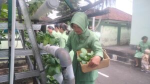 PERSIT PANEN SAYUR